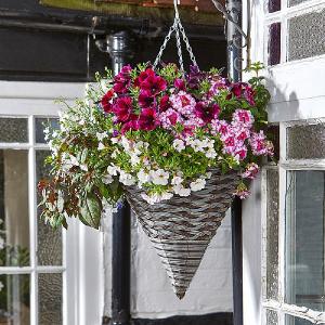 Smart Garden Pinto Faux Rattan Hanging Cone - 14''