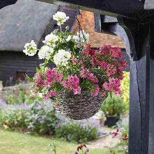 Smart Garden Tawny Faux Rattan Hanging Basket - 14''