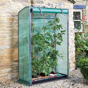 Smart Garden Tomato GroZone - Single Sided