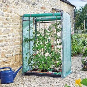 Smart Garden Tomato GroZone Max - Double Sided