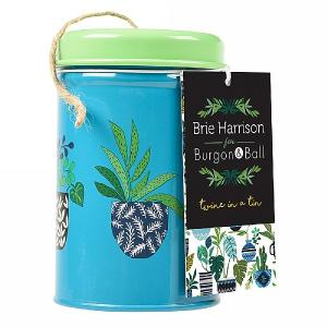 Burgon & Ball Brie Harrison Twine in a Tin