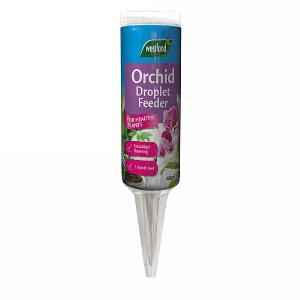 Westland Cacti Succulent Potting Mix Seramis Enriched 4l