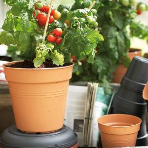 Elho Green Basics 35cm Growpot - Mild Terracotta