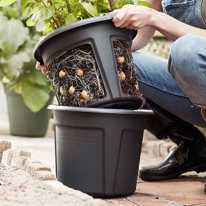 Elho Green Basics Potato Pot 33cm Living Black
