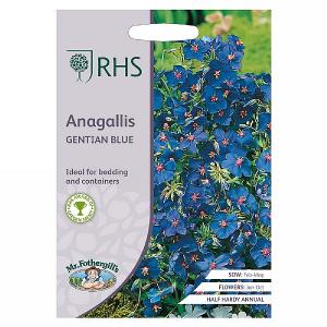 RHS Anagallis Gentian Blue Seeds