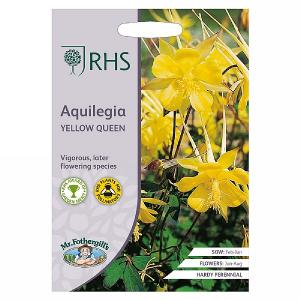 RHS Aquilegia Yellow Queen Seeds