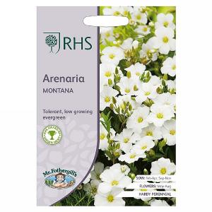 RHS Arenaria Montana Seeds