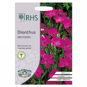 RHS Dianthus Deltoides Seeds