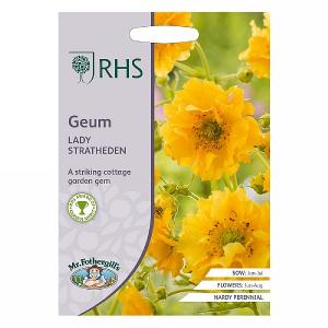 RHS Geum Lady Stratheden Seeds