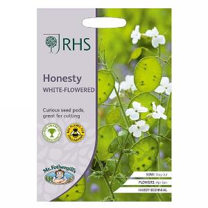 RHS Honesty White-Flowered Seeds