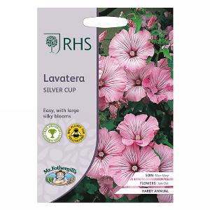RHS Lavatera Silver Cup Seeds