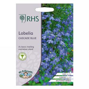 RHS Lobelia Cascade Blue Seeds