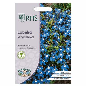 RHS Lobelia Mrs Clibran Seeds