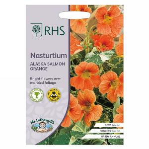 RHS Nasturtium Alaska Salmon Orange Seeds
