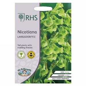 RHS Nicotiana langsdorffii Seeds