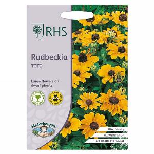 RHS Rudbeckia Toto Seeds
