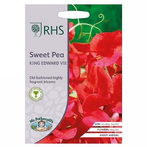 RHS Sweet Pea King Edward VII Seeds