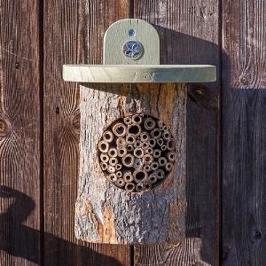 Wildlife World Bee Log