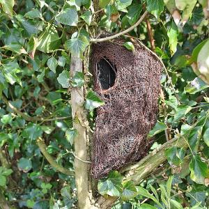 Wildlife World Brushwood Tree Nest Pouch