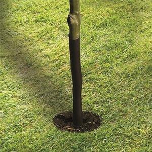 Garland Spiral Tree Guard - 61cm (24")