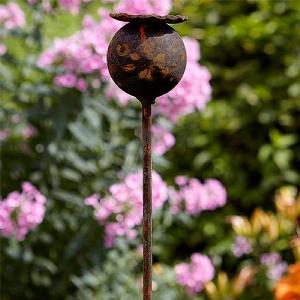 Tom Chambers Rusty Plant Stake Poppy Large