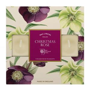 Wax Lyrical RHS Christmas Rose Tealights Box of 9