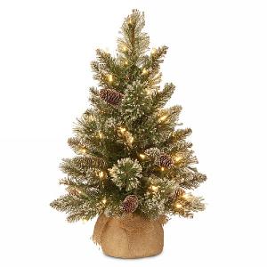 2ft Pre-Lit Glittery Bristle Pine Artificial Christmas Tree
