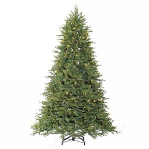 6ft Pre-Lit Ashville Fir Artificial Christmas Tree
