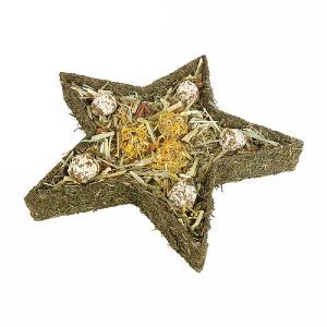 Rosewood Festive Star Forage Tray 125g