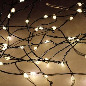 240 Warm White LED Micro Lights (Green Cable)