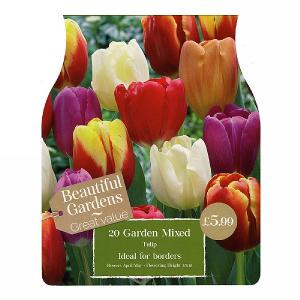 Mixed Garden Tulips (20 Bulbs)