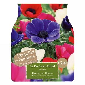 Anemone De Caen Mixed (35 Bulbs)