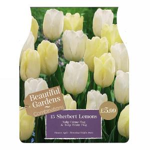 Sherbert Lemons Combi Pack (15 Bulbs)