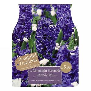 Moonlight Serenade Combi Pack (15 Bulbs)