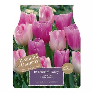 Fondant Fancy Combi Pack (12 Bulbs)