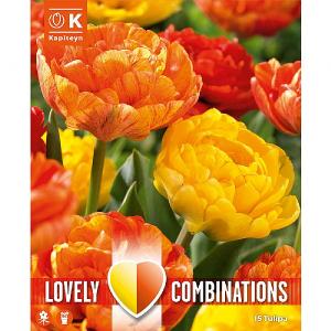 Tulip Combination Pack Yellow & Orange Shades (15 Bulbs)