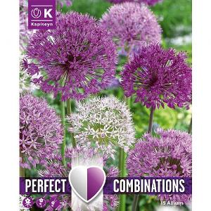Allium Perfect Combinations Pack (15 Bulbs)