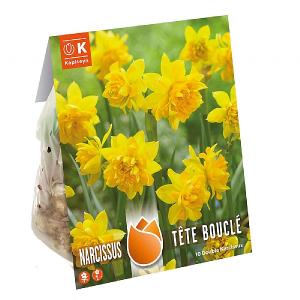 Narcissus Tete Boucle (10 Bulbs)
