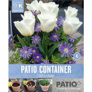 Anemone Blue & Tulip White Container Pack (20 Bulbs)