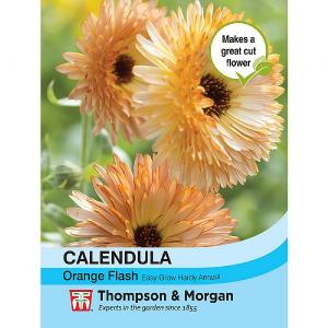 Thompson & Morgan Calendula Orange Flash 