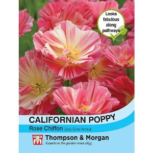 Thompson & Morgan Californian Poppy Rose Chiffon 