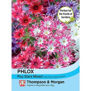 Thompson & Morgan Phlox Popstars