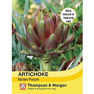 Thompson & Morgan Artichoke Italian Purple Seeds