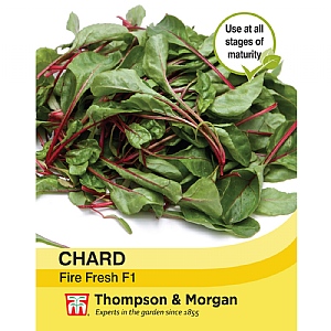 Thompson & Morgan Chard Fire Fresh Seeds