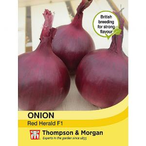Thompson & Morgan Onion Red Herald