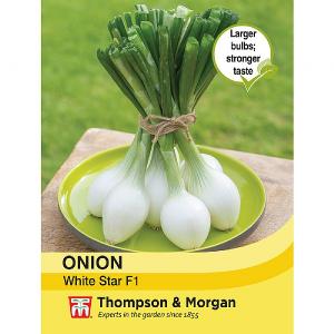 Thompson & Morgan Onion White Star