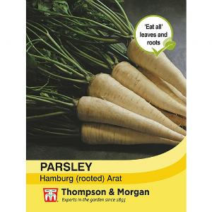 Thompson & Morgan Parsley Hamburg arat Seeds