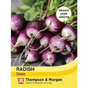 Thompson & Morgan Radish Diana