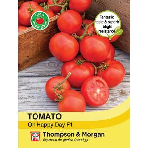 Thompson & Morgan Tomato Oh Happy Day F1 Hybrid Seeds