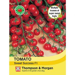 Thompson & Morgan Tomato Sweet Success F1 Hybrid Seeds